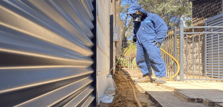 What Attracts Termites in the Home